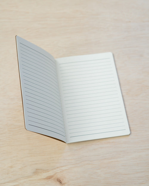 Fish Notebook